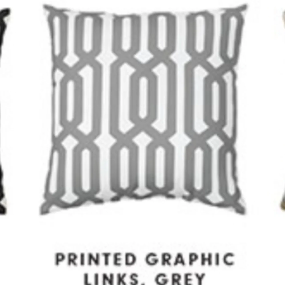 Williams Sonoma Outdoor  Printed Links Pillows